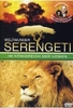 Weltwunder Serengeti - Im Königreich der Löwen