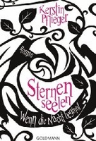 Wenn die Nacht beginnt - Sternenseelen Band 1