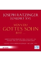 Wenn du Gottes Sohn bist. ..