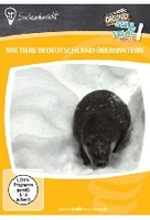 Wie Tiere in Deutschland überwintern