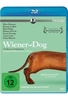 Wiener Dog