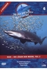 Wild Water World 6 - Haie - Jäger der Meere 2