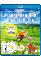 Wildbienen und Schmetterlinge