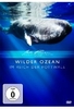 Wilder Ozean - Im Reich der Pottwale