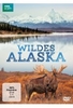 Wildes Alaska