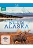 Wildes Alaska