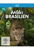 Wildes Brasilien - Land aus Feuer und Wasser