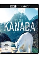 Wildes Kanada (4K Ultra HD)