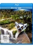 Wildes Madagaskar - Die Insel der Lemuren 3D (inkl. 2D-Version)