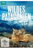 Wildes Patagonien