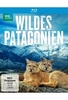Wildes Patagonien