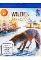 Wildes Venedig