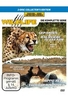 Wildlife - Geparden/Raubtiere in Gefahr/Hippo Hell/Tödlicher Sommer [CE] [2 DVDs]
