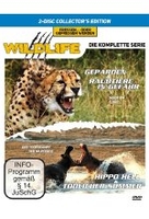 Wildlife - Geparden/Raubtiere in Gefahr/Hippo Hell/Tödlicher Sommer [CE] [2 DVDs]