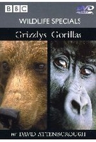 Wildlife Specials - Grizzlys/Gorillas
