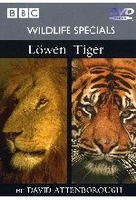 Wildlife Specials - Löwen/Tiger