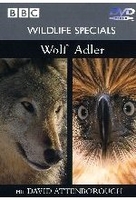 Wildlife Specials - Wolf/Adler