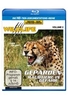 Wildlife Vol. 2 - Geparden/Raubtiere in Gefahr