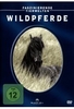 Wildpferde - Faszinierende Tierwelten