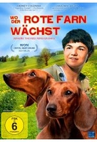 Wo der rote Farn wächst