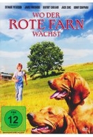 Wo der rote Farn wächst