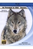 Wolves - Lords of the Forests IMAX