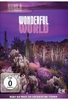 Wonderful World