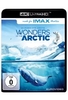 Wonders of the Arctic (4K Ultra HD)