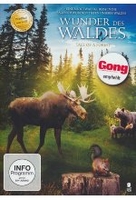 Wunder des Waldes