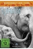 Wunderwelt der Tiere - Elefanten