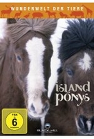 Wunderwelt der Tiere - Island Ponys