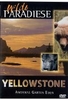 Yellowstone - Amerikas Garten Eden