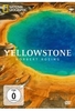 Yellowstone - Norbert Rosing - National Geographic [2 DVDs]