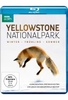 Yellowstone Nationalpark - Winter - Frühling - Sommer (BBC Earth)