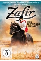Zafir - Der schwarze Hengst