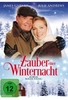 Zauber einer Winternacht