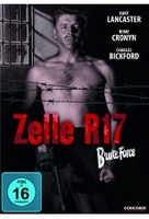 Zelle R 17 - Brute Force