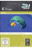 Zellen