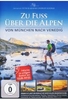Zu Fuß über die Alpen