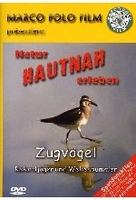 Zugvögel - Rekordjäger und Weltenbummler