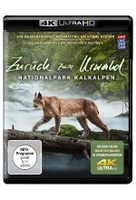 Zurück zum Urwald - Nationalpark Kalkalpen (4K Ultra HD)
