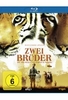 Zwei Brüder