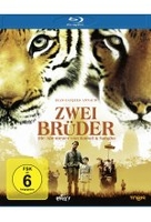 Zwei Brüder