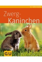 Zwergkaninchen