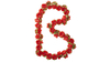 Basil Blumengirlande Flower Garland RED