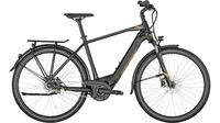 Bergamont E-Horizon N8 CB 500 Gent BLACK GOLD DUST/GOLD (SHINY/MA