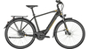 Bergamont E-Horizon N8 CB 500 Gent BLACK GOLD DUST/GOLD (SHINY/MA