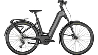 Bergamont E-Ville Elite BLACK/SILVER (MATT/SHINY)
