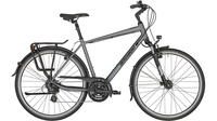 Bergamont Horizon 3 Gent SILVER/BLACK (MATT)