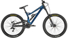 Bergamont Straitline 7 PETROL BLUE/BLACK/GOLD